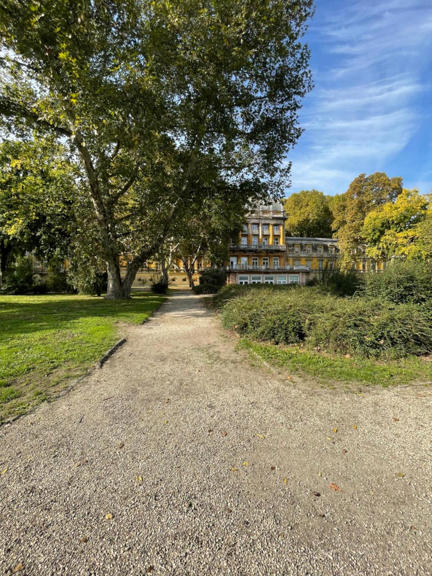 Margaret Apartment Next To The Lukacs Spa With Panorama Danube Budapest Esterno foto
