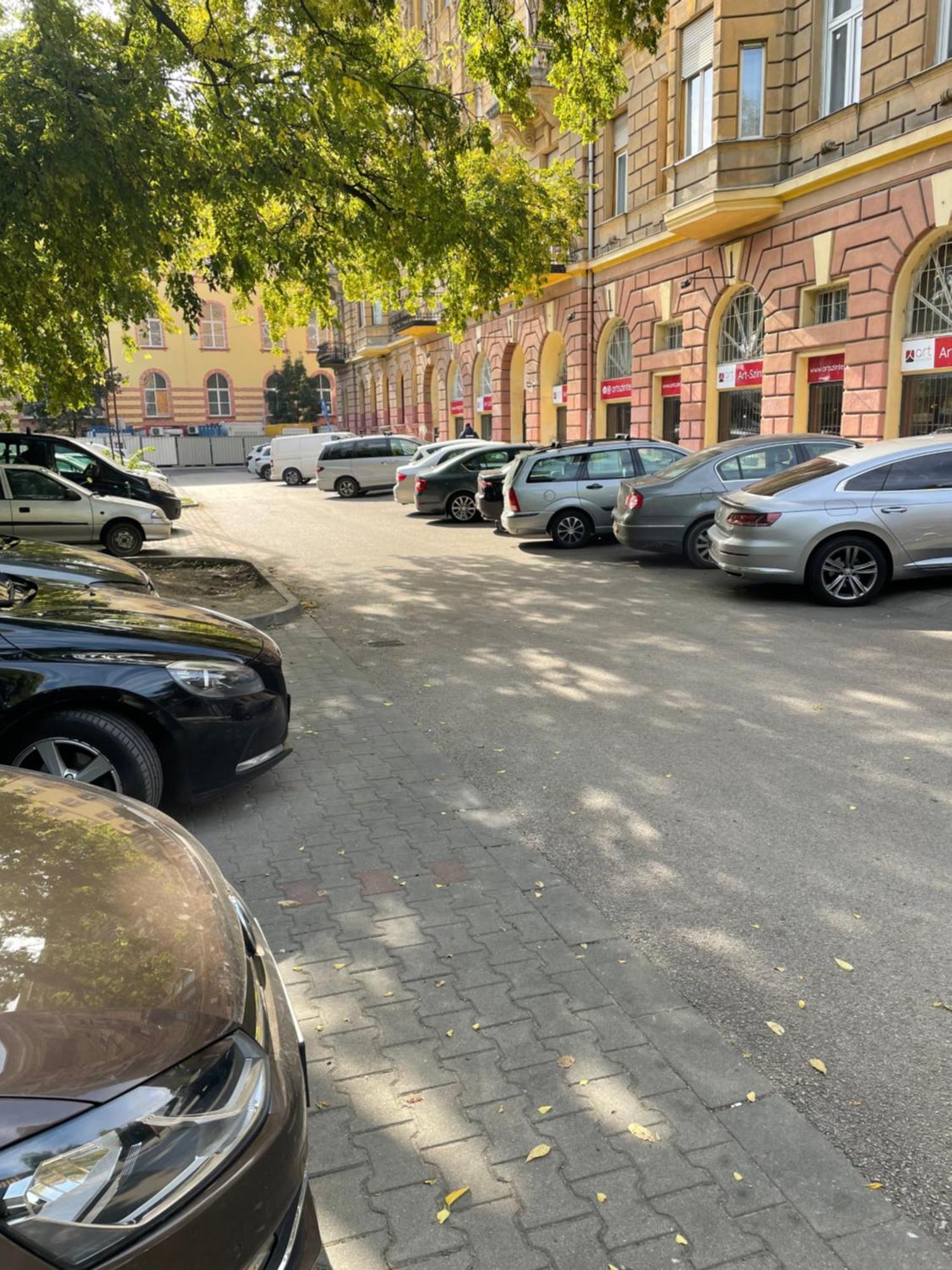 Margaret Apartment Next To The Lukacs Spa With Panorama Danube Budapest Esterno foto